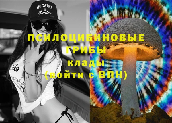 дурь Вяземский