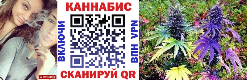 Бошки марихуана сатива  Саянск 